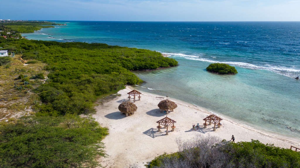 Mangel Halto Aruba