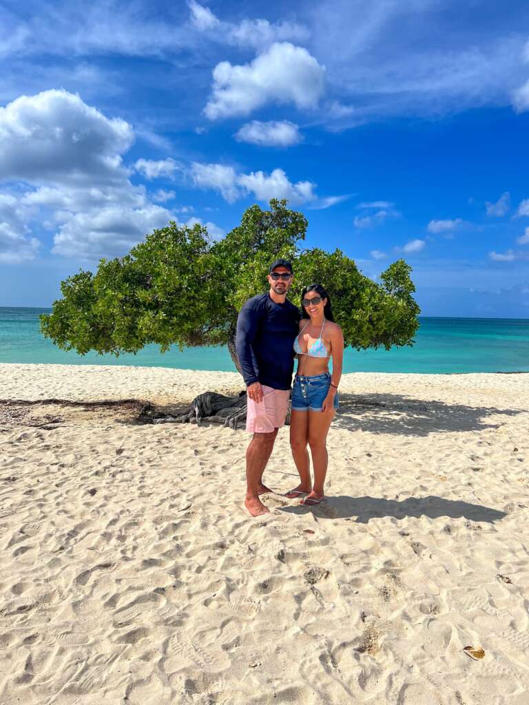Divi-divi: a árvore símbolo de Aruba