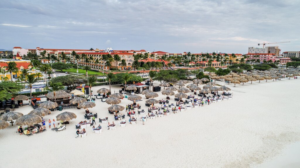 Passions on the Beach: